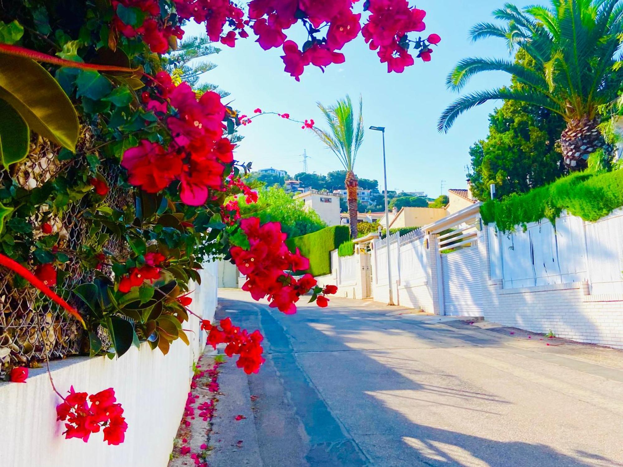Turyva Tarongers 2 - Relaxing 2 Bedroom Holiday Apartment For Families & Couples Peniscola Bagian luar foto
